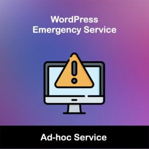 WordPress Emergency Service Support in Singapore